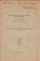 Fossile Spalaxreste Aus Der Bukowina, Cernauti 1932 - Arqueología