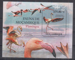 J13. Mozambique MNH 2011 Fauna - Birds - Flamingos - Flamingo's