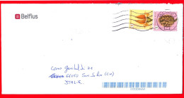 BELGIO ~ Storia Postale ~ Busta Del 2022 - ( 2021 - Frutti Dell'albero - Larice Giapponese -  1 Europe ) - Lettres & Documents