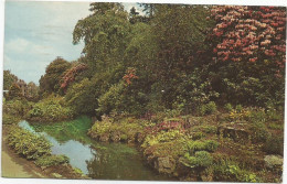 CPSM Harrogate Valley Gardens - Harrogate