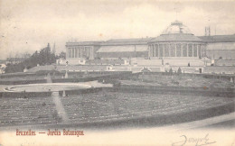 BELGIQUE - Bruxelles - Jardin Botanique - Carte Postale Ancienne - Bosques, Parques, Jardines