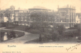 BELGIQUE - Bruxelles - L'Institut D'anatomie Au Parc Léopold - Carte Postale Ancienne - Bossen, Parken, Tuinen