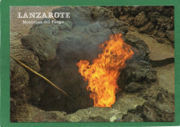 Lanzarote -MONTANAS Del FUEGO CPM Coleccion JOAQUIN RUIZ LORENTE-TI  N° 82 59 97  Impeccable - Lanzarote