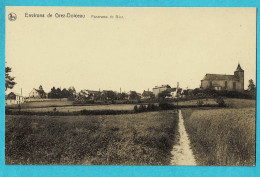 * Grez Doiceau - Graven (Brabant Wallon) * (Nels, Imp L. Michaux) Panorama De Biez, Vue Générale, Old, Rare - Grez-Doiceau