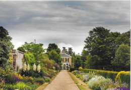 HERBACEOUS BORDER, POLESDEN LACEY, SURREY, ENGLAND. UNUSED POSTCARD   Ph8 - Surrey