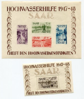 SARRE BF 1 / 2 ** INNONDATION DE JANVIER 1947 - Blokken & Velletjes