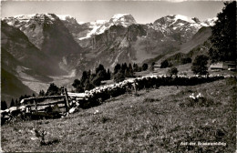 Auf Der Braunwaldalp (34002) * 30. 8. 1960 - Braunwald