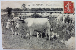 2 CARTES - BŒUFS Á L'ABREUVOIR Et LA ROCHE DU CHIEN  - EN MORVAN - Bourgogne