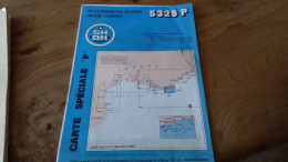 124/ CARTE SPECIALE P DE LA PRESQU ILE DE GIENS AU CAP CAMARAT 5329 P /SHOM - Carte Nautiche