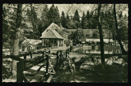 Orig. Foto AK Um 1955 Ortspartie Leopoldstal Horn Bad Meinberg - Waldhotel Gasthof Pension Silbermühle - Bad Meinberg