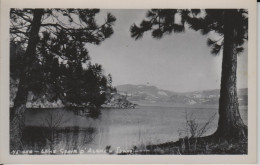 Lake Cœur D'Alene Idaho USA. Real Photo B&W RPPC: CEK 1930-1950 ,big Trees (Pines)  Snowy Mountain Frames - Coeur D'Alene