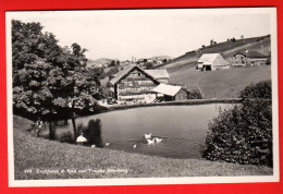 ZVM-15 Gasthaus & Bad Zur Traube Hemberg  Gelaufen 1964  Müller Uster 549 - Hemberg