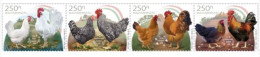 HUNGARY - 2023. Native Hungarian Poultry Breeds / Birds II. MNH!! - Unused Stamps