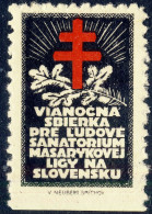 CZECHOSLOVAKIA - 1920s/30s CHRISTMAS SEAL For The Masaryk League Against Tuberculosis In Slovakia (Ref.031) - Malattie