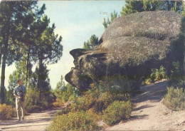 Seia - Cabeça Da Velha / Granito = Granite = Granit / Fotógrafo - Guarda