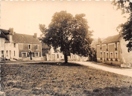 77-ORLY-SUR-MORIN- VALLEE DU PETIT-MORIN LA PLACE DES MARRONNIERS - Otros & Sin Clasificación