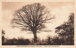 St Georges De Rouelley * Le Chêne De La Bourginière * Arbre - Andere & Zonder Classificatie