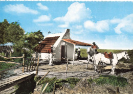 Les Saintes Maries De La Mer * Une Cabane Des Gardians - Saintes Maries De La Mer