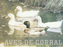 CUBA - BLOC N°211 ** (2006) Oiseaux - Blocks & Sheetlets