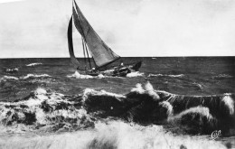 L'aiguillon Sur Mer * La Faute * Promenade En Mer , En Bateau * Voilier - Autres & Non Classés