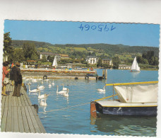 D663) GRUSS Aus VELDEN Am  WÖRTHERSEE - Segelboote - Schwäne Usw. - Velden