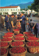 Ceret * Le Marché Aux Cerises * Foire Marchands - Ceret