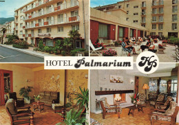 Amélie Les Bains * Le PALMARIUM Hôtel * 44 Avenue Du Valespir * Pub Publicité - Sonstige & Ohne Zuordnung