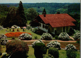 CPM Rio Grande Do Sul Turistico Gramado Parque Knorr - Porto Alegre