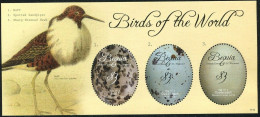 2011 St Vincent Grenadines Bequia 752-754KL Birds 7,50 € - Pics & Grimpeurs