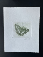 Belgique 1993 COB 2504 Epreuve D'artiste Proof 1er Jour FDC Papillon Butterfly Schmetterling Apatura Iris Vert - Vlinders