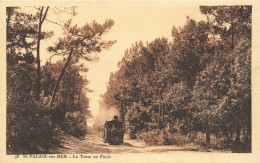 St Palais Sur Mer * Le Tram En Forêt * Tramway Ligne Chemin De Fer - Saint-Palais-sur-Mer