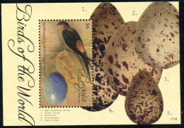 2011 St Vincent Grenadines Bequia 760/B67 Birds 5,00 € - Climbing Birds