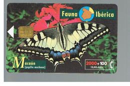 SPAGNA (SPAIN) - TELEFONICA  (CHIP) -  FAUNA IBERICA: PAPILIO MACHAON        - USED - RIF. 10007 BIS - Papillons