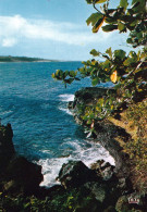 1 AK Insel Réunion * Paysage Dans Le Sud - Southern Landscape - Übersee-Departement Von Frankreich Im Indischen Ozean - Reunion
