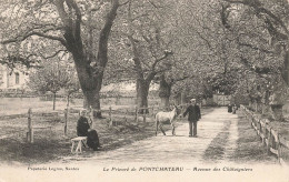 Pontchâteau * Le Prieuré * Avenue Des Châtaigniers * Villageois - Pontchâteau