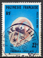 F P+ Polynesien 1978 Mi 250 Erosaria Obvelata - Used Stamps