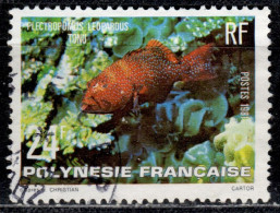 F P+ Polynesien 1981 Mi 324 Fisch - Used Stamps