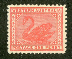 4865 BCx West Aust. 1905 Scott 90e M* (Lower Bids 20% Off) - Nuovi