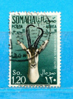 (Us8) SOMALIA - AFIS ° 1955 - ANIMALI -POSTA AEREA. Unif. A 30 .  Come Scansione. - Somalië (AFIS)