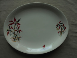 Ancien - Plat De Service Ovale Bambou Washington Pottery LTD England - Non Classés