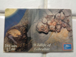 Gibraltar Phonecard ( Mint In Blister ) - Gibilterra