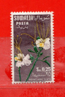 (Mn1) SOMALIA ITALIANA * 1955 - FIORI FLEURS - 25 C. Unif. 30  MH* - Somalie (AFIS)