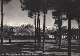 CARTOLINA  MARINA DI CARRARA,TOSCANA-LE ALPI APUANE DA MARINA DI CARRARA-MONTAGNA,VACANZA,BELLA ITALIA,VIAGGIATA 1954 - Carrara