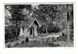 Kwaremont  Vredekapel - Chapelle Au Bois - Kluisbergen