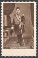 Mehmed V Sultan Of The Ottoman Empire TURKEY 1918  Cinderella Label Vignette Germany - Autres & Non Classés
