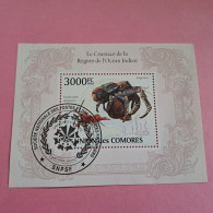 Le Crustacé De La Région De L'Océan Indien - 2010 - Comores (1975-...)