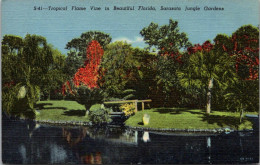 Florida Sarasota Jungle Gardens Tropical Flame Vine Curteich - Sarasota