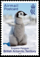2023 British Antarctic Territory BAT Bird Fauna Emperor Penguin, Chick Baby Single Stamp MNH - Ongebruikt