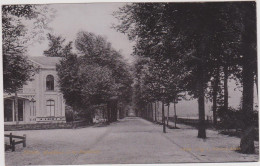 Assen - Hoofdlaan In Het Stadsbosch - 1905 - Assen