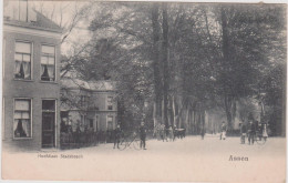 Assen - Hoofdlaan Stadsbosch Levendig - 1903 - Assen